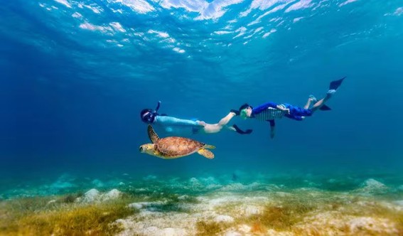 SNORKELING