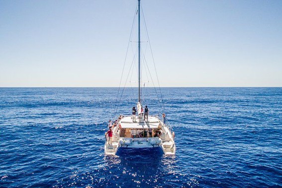 BOAT TOURS