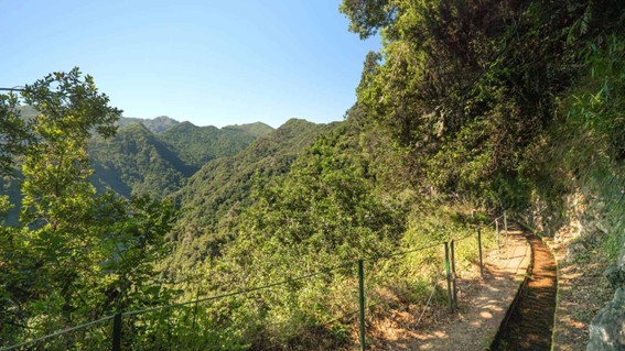 LEVADA DO REI