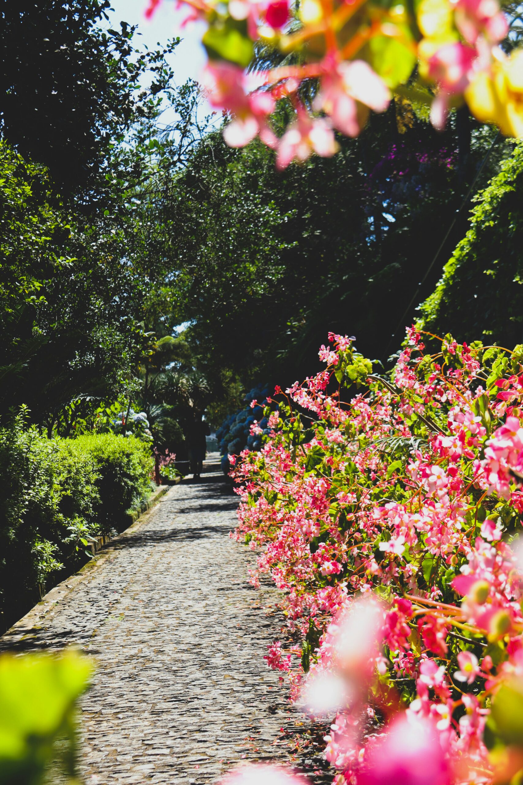 GIARDINO BOTANICO DI MADEIRA